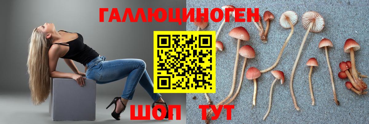 Псилоцибиновые грибы Psilocybe  Вход с VPN  Тара 